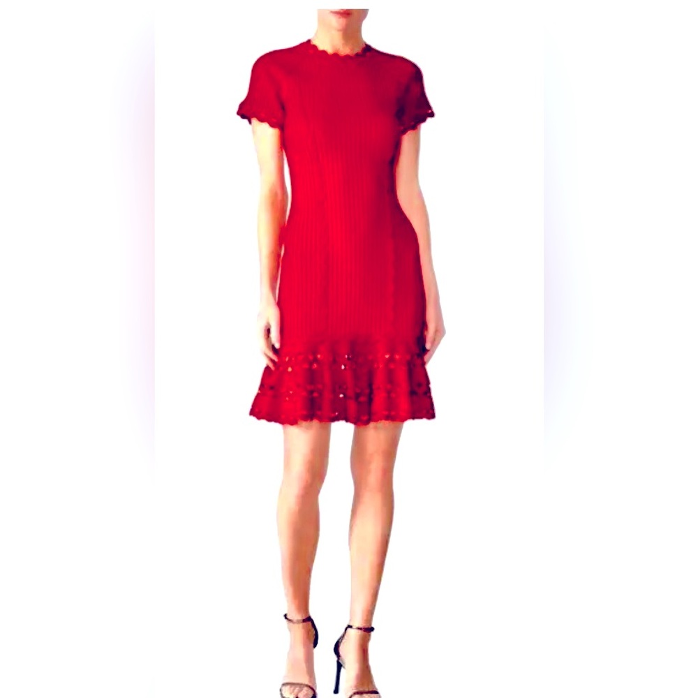 Jonathan Simkhai Red Ric Rac Knit Dress with Ribbing size L